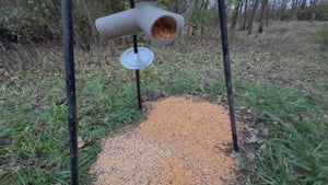 🌾 Oats & Oaks (Limited)