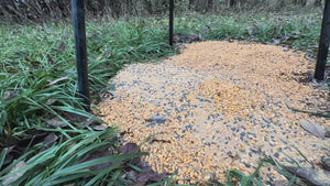 Orchard Punch Pallet